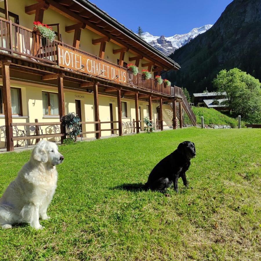 Chalet Du Lys Hotel & Spa Gressoney-la-Trinité Eksteriør billede
